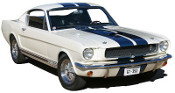White Mustang